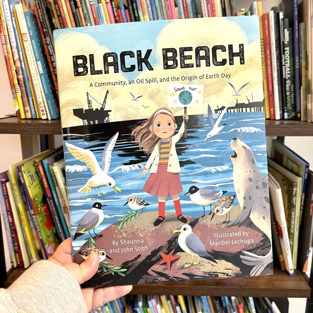black beach book cover